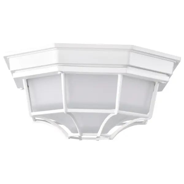 Durable LED Bulkhead with Industrial Cage Design for Outdoor Spaces - Image 3