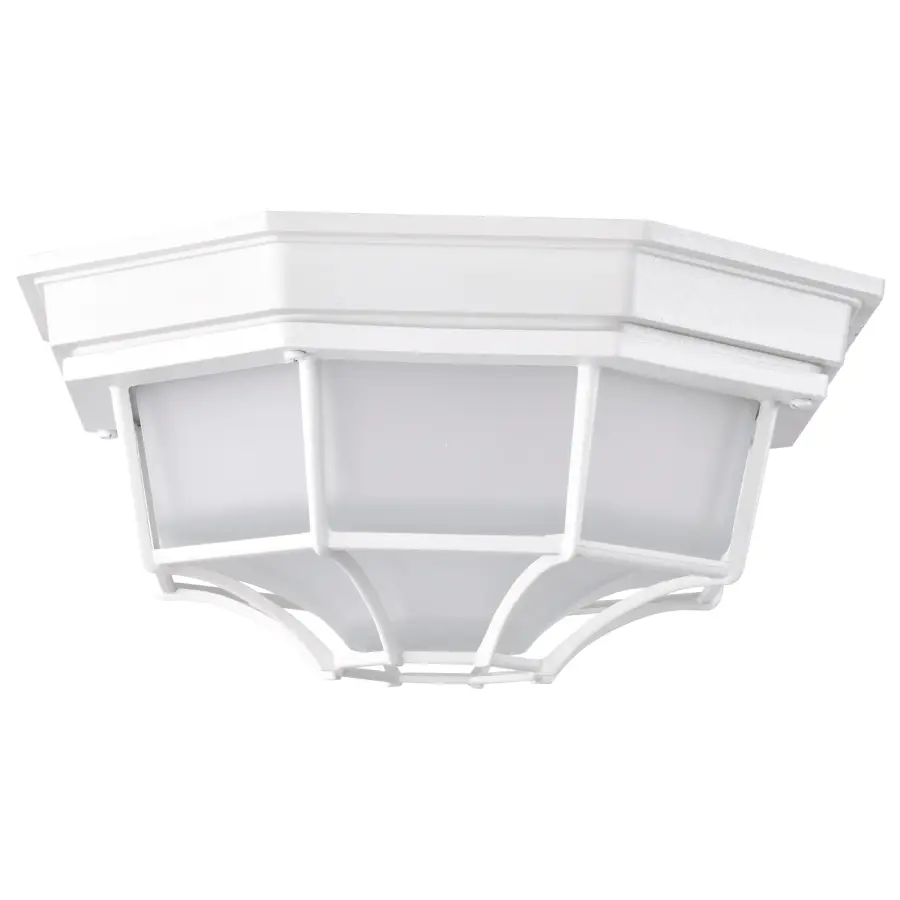 Durable LED Bulkhead with Industrial Cage Design for Outdoor Spaces - Image 3