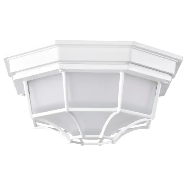 Durable LED Bulkhead with Industrial Cage Design for Outdoor Spaces - Image 5