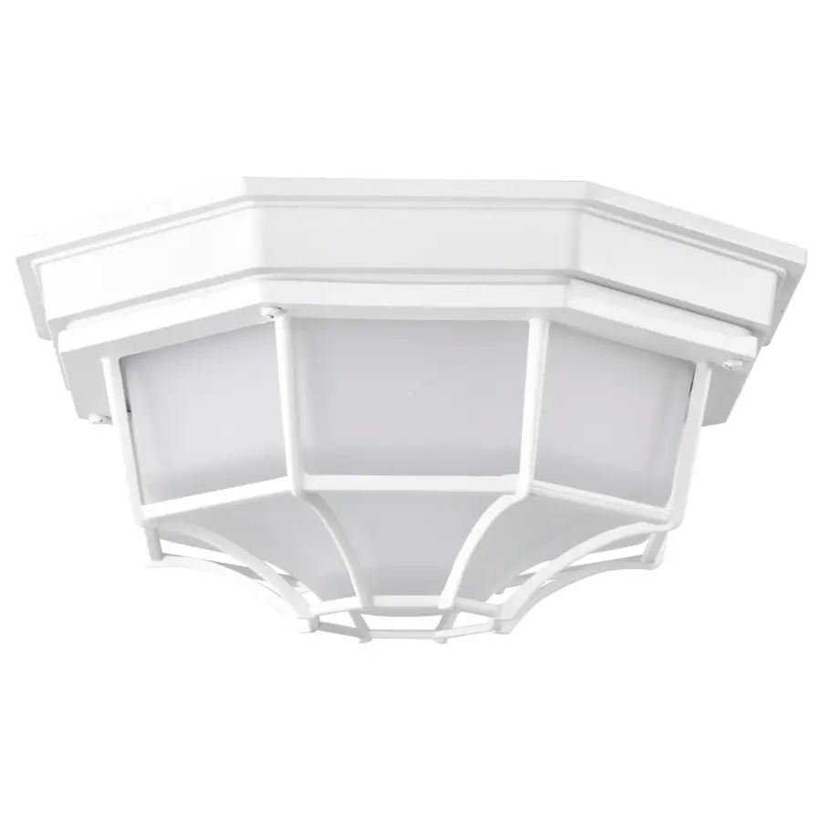Durable LED Bulkhead with Industrial Cage Design for Outdoor Spaces - Image 5
