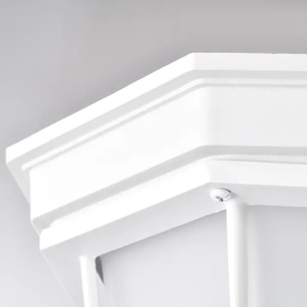 Durable LED Bulkhead with Industrial Cage Design for Outdoor Spaces - Image 7