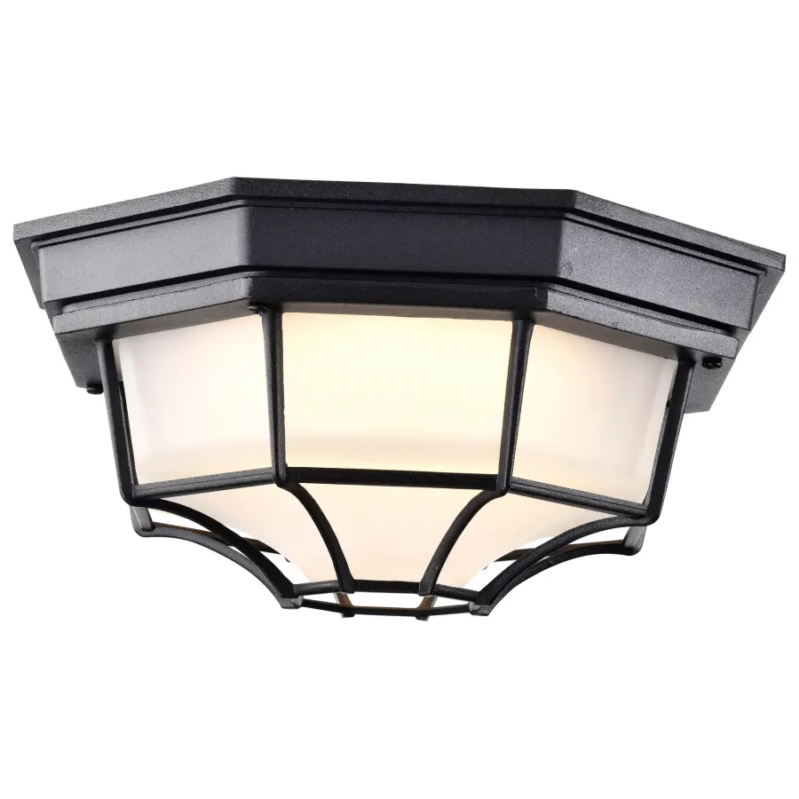 Durable LED Bulkhead with Industrial Cage Design for Outdoor Spaces - Image 4