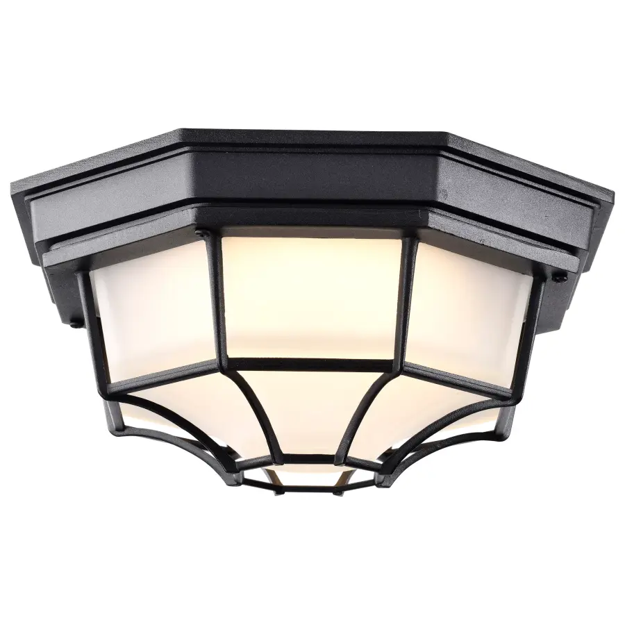 Durable LED Bulkhead with Industrial Cage Design for Outdoor Spaces - Image 6