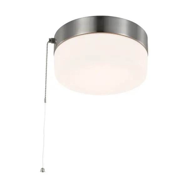 This 8-inch LED flush mount combines clean contemporary styling with practical functionality. The brushed nickel finish and frosted glass diffuser deliver versatile aesthetics while the pull chain offers convenient control. - alternate view