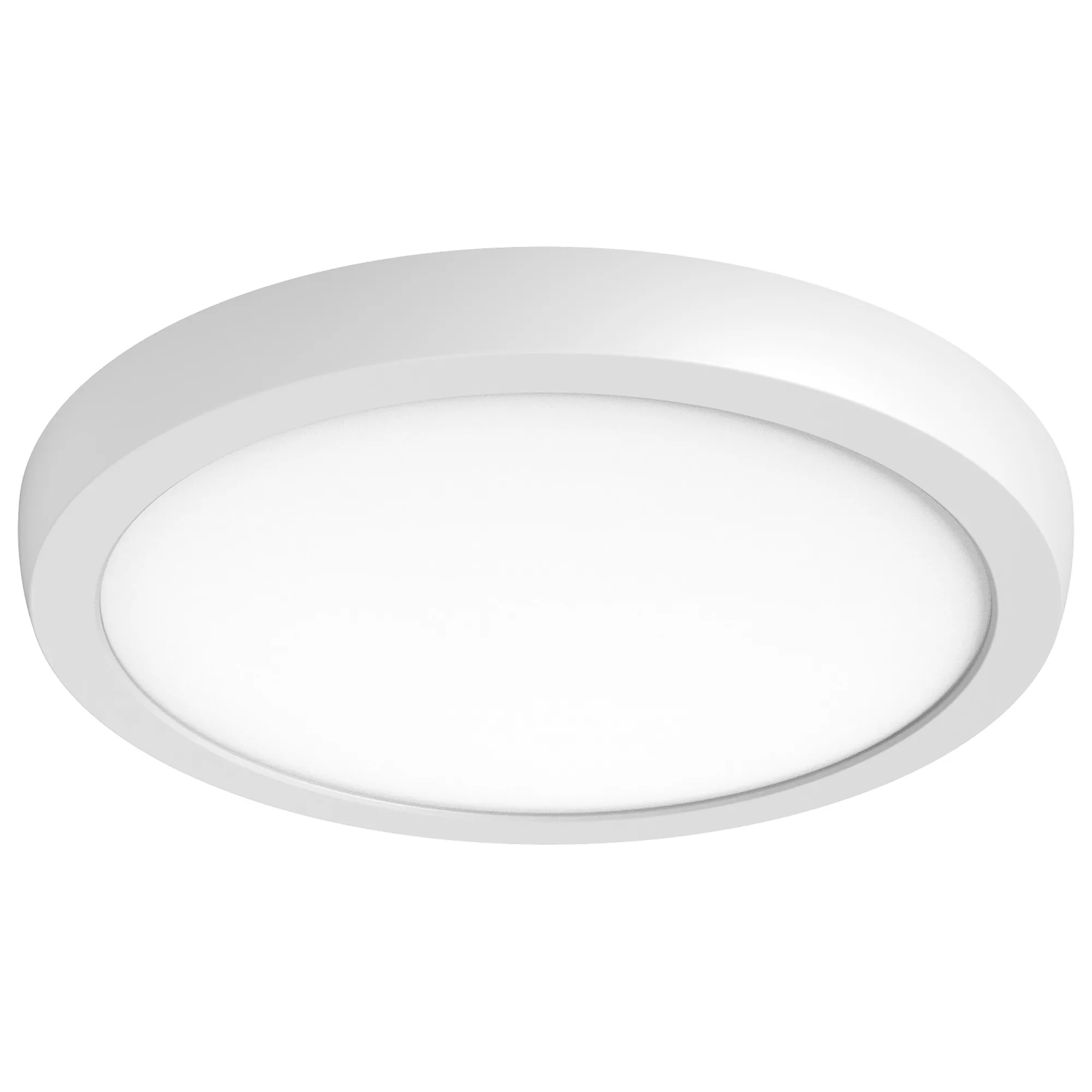 Blink Pro Plus 12" Round LED Flush Mount