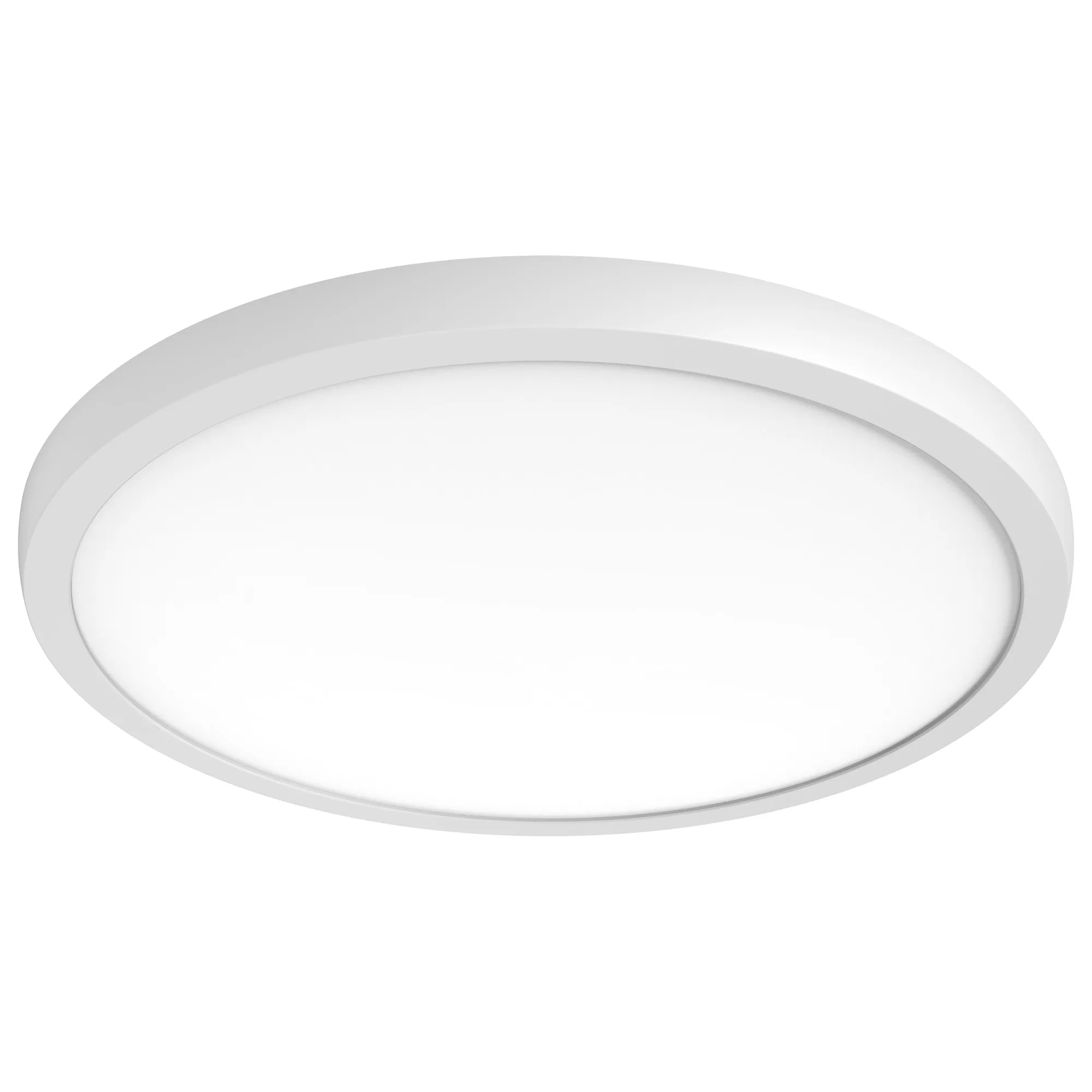 Blink Pro Plus 19" Round LED Flush Mount