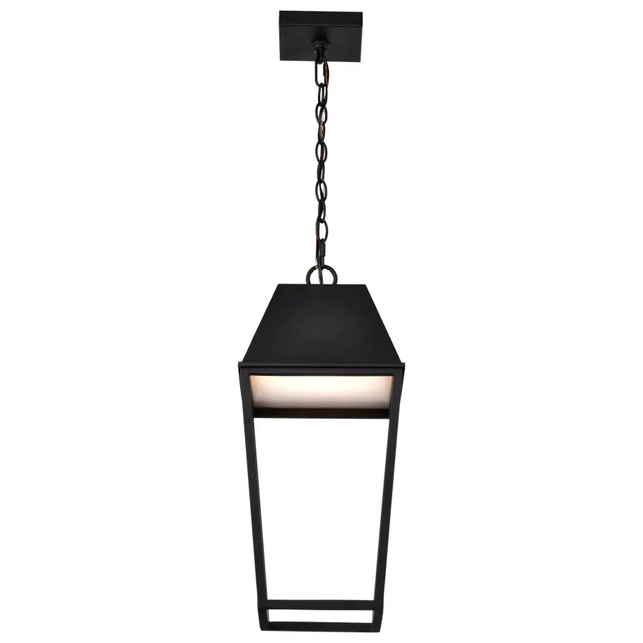 Colt LED Outdoor Hanging Pendant in Matte Black - Image 8