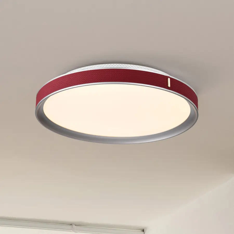 Bandon 20" LED Flush Mount - Gray with Red Wrap - Image 5