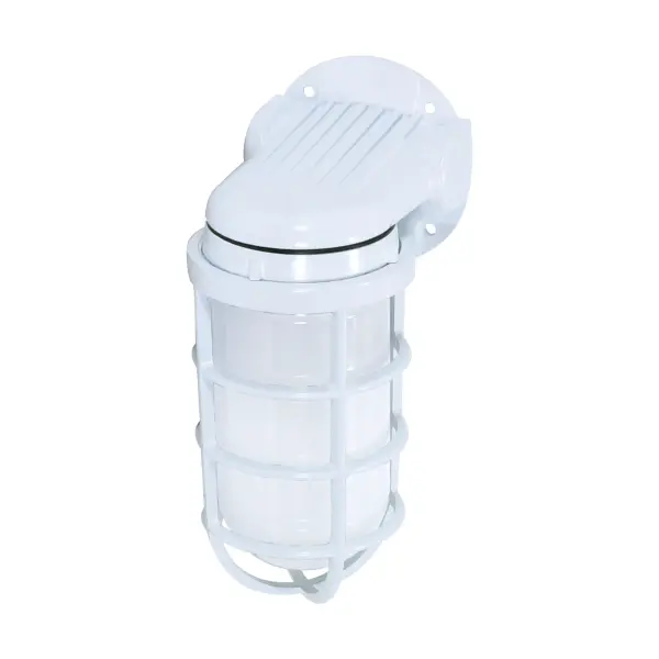 Industrial Vapor Proof Wall Mount with Frosted Glass