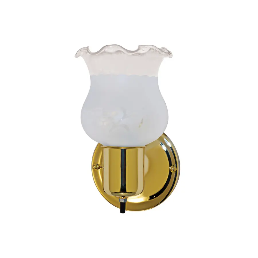 Polished Brass Vanity Light with Frosted Grape Shade