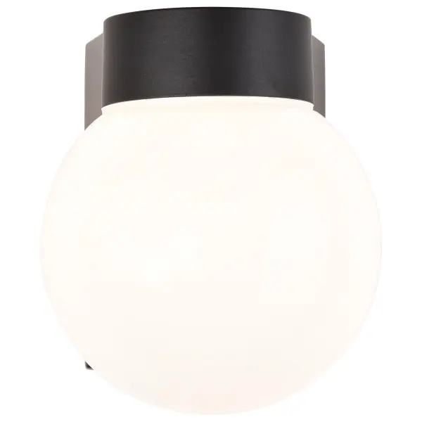 8" Utility Wall Mount Light with White Glass Globe - Image 11