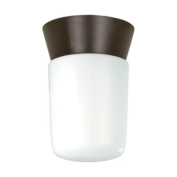 A practical and weather-resistant ceiling mount designed for exterior applications. The bronzotic finish and white glass cylinder provide reliable illumination for entryways, porches, and commercial spaces.