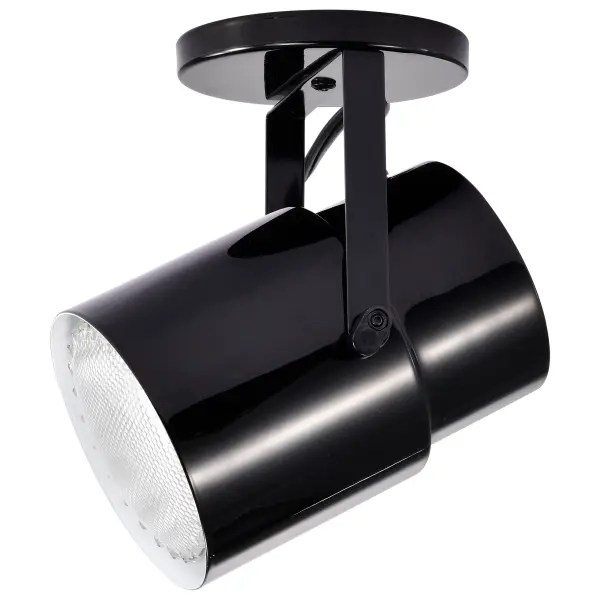 Plant Lamp - Black Finish - Image 4