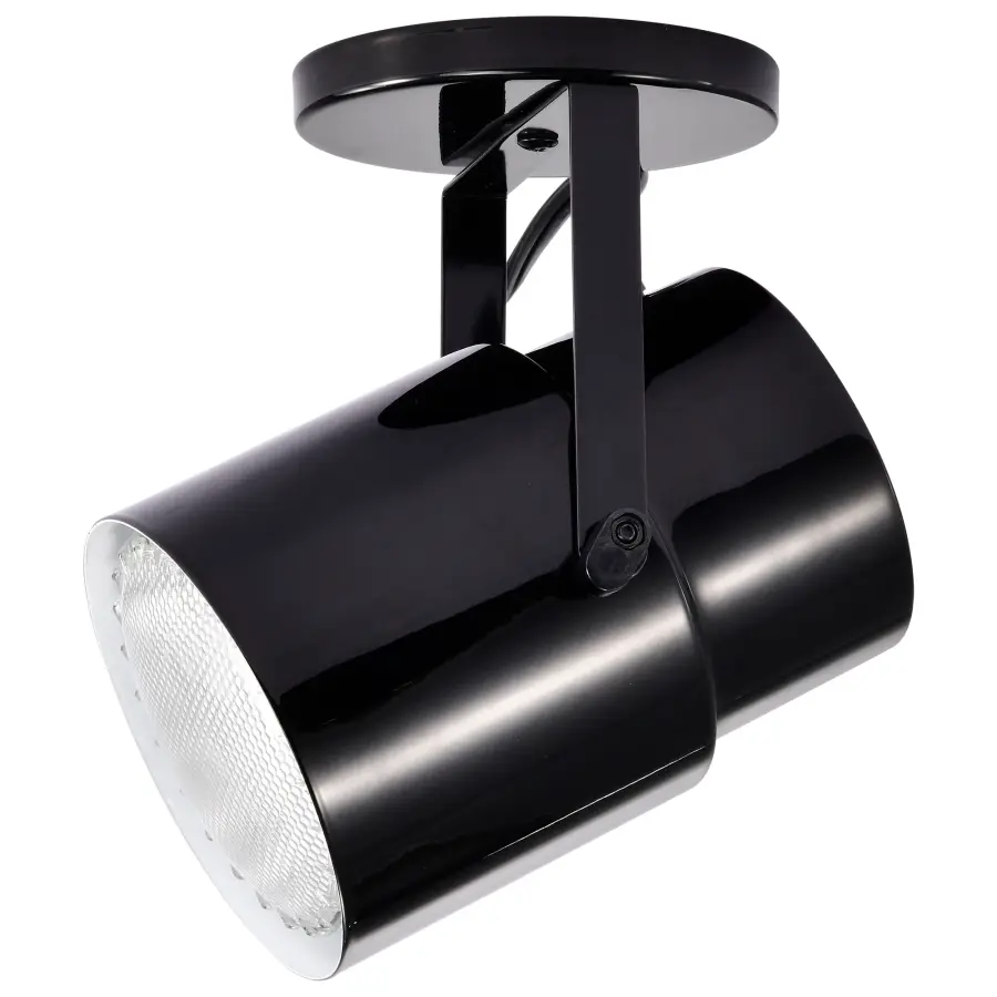 Plant Lamp - Black Finish - Image 4