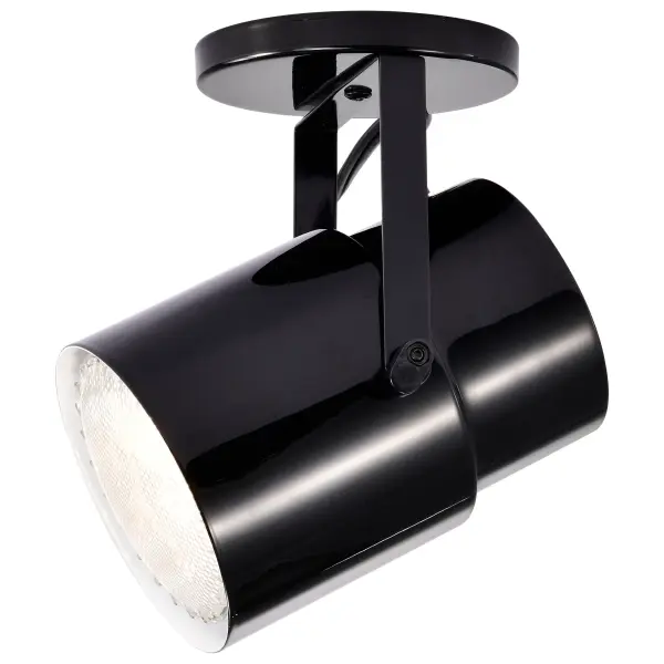 Plant Lamp - Black Finish - Image 5