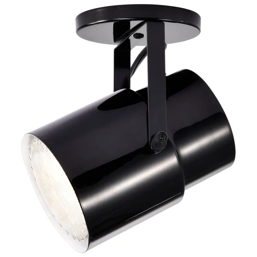 Plant Lamp - Black Finish - Image 5