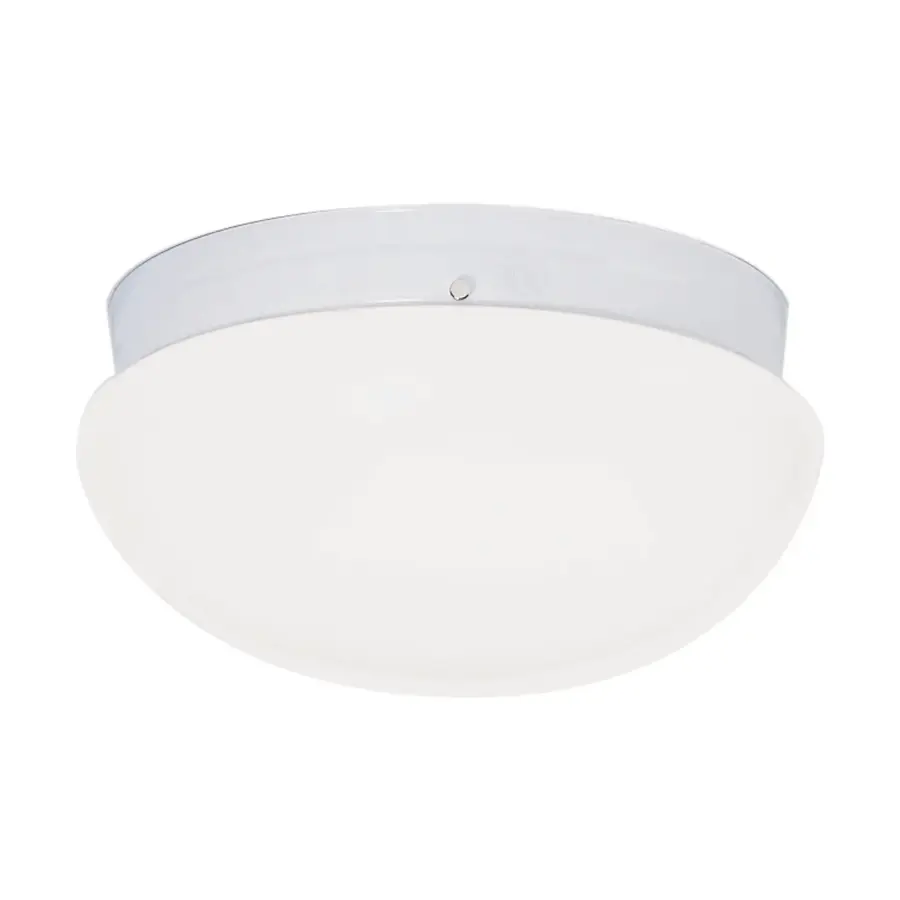 2-Light White Flush Mount Ceiling Light with White Glass