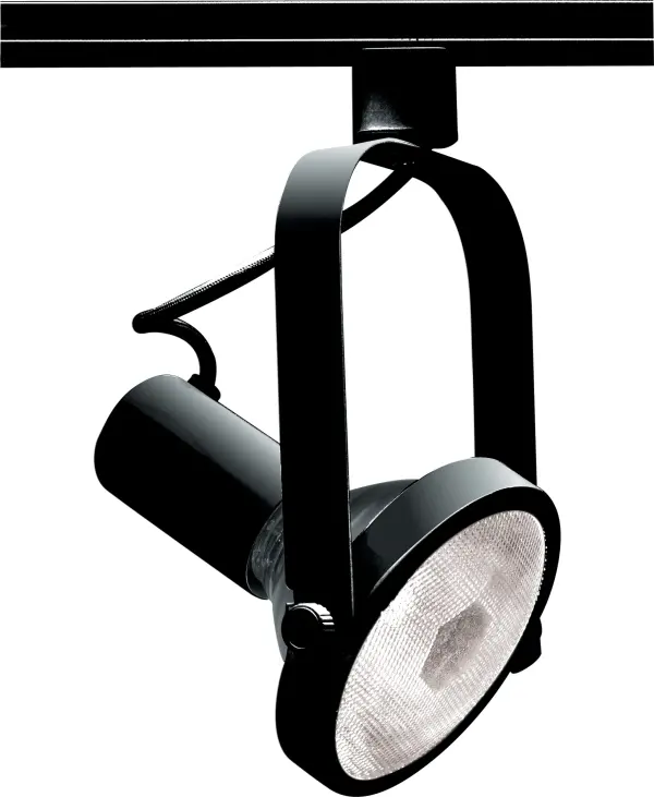 This PAR30 gimbal ring track head offers flexible directional lighting with a sleek black finish. The adjustable gimbal design allows precise light positioning, making it ideal for highlighting artwork, architectural features, or task areas.