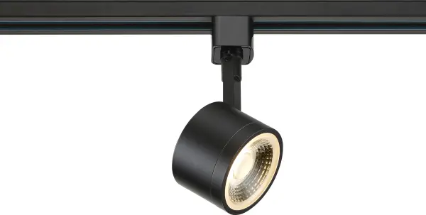 This compact round track head delivers efficient 12W LED lighting with a narrow 24-degree beam angle, perfect for highlighting artwork, architectural features, or task areas. The matte black finish offers timeless appeal.