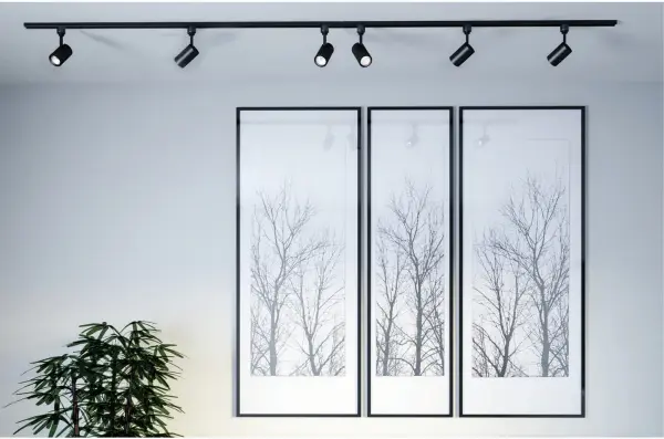 This 12W LED track head combines contemporary design with efficient performance. The 24-degree beam spread provides focused accent lighting, while the black finish adds modern sophistication to any space. - alternate view