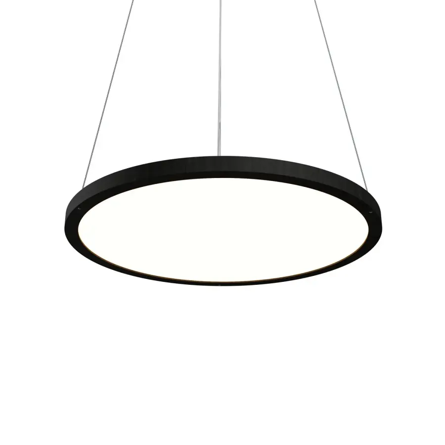 Compact Modern LED Pendant with Organic Black Finish