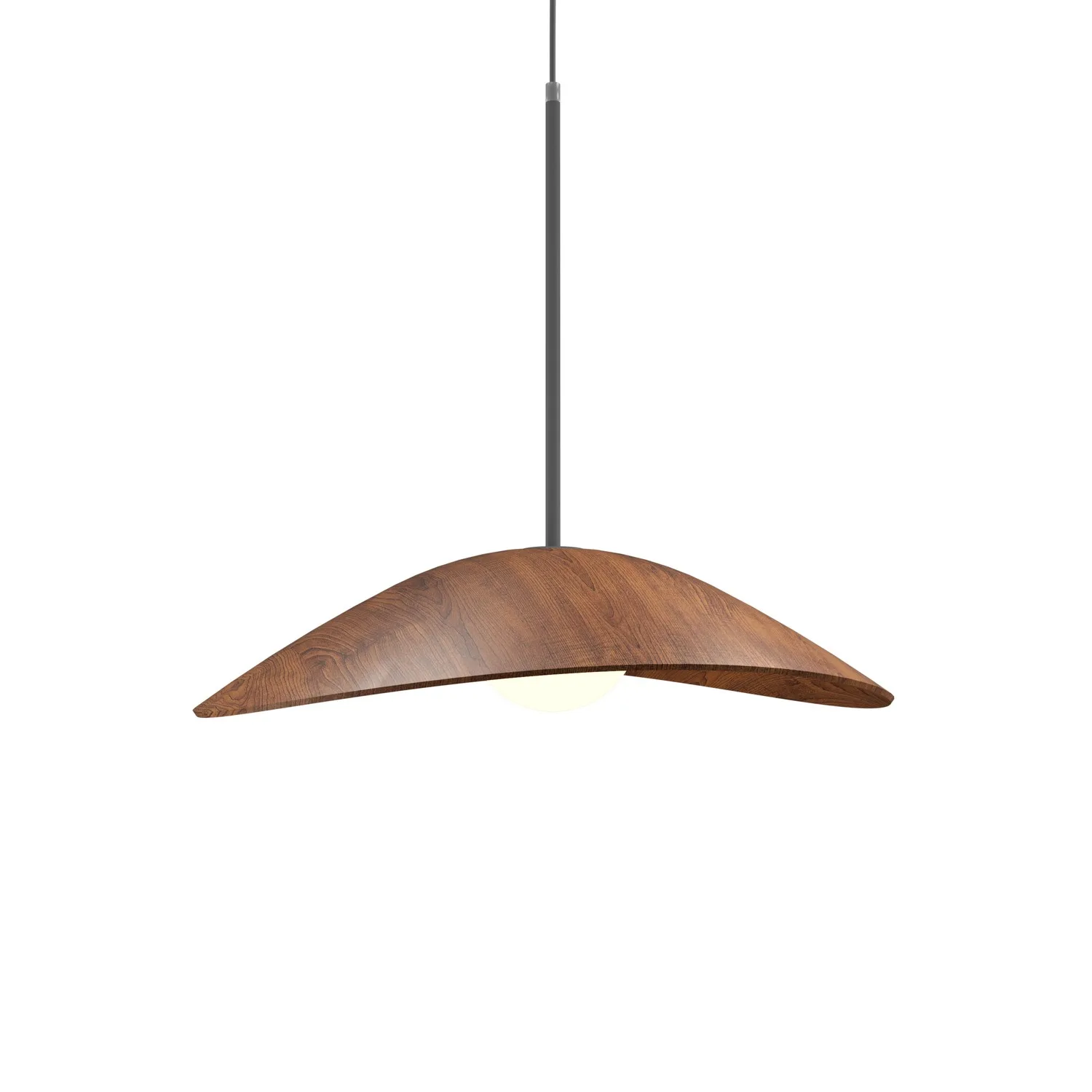 Oyster One Light Pendant in Imbuia