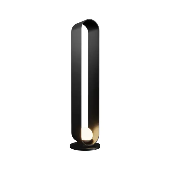 Sleek Contemporary Floor Lamp with Organic Black Finish