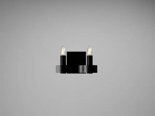 Flow Two Light Wall Sconce in Organic Black