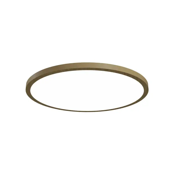 The Accord Lighting - Naia by Accord Lighting