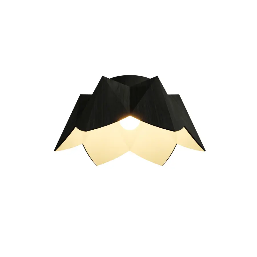 Physalis One Light Ceiling Mount in Organic Black