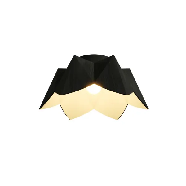 Physalis One Light Ceiling Mount in Organic Black