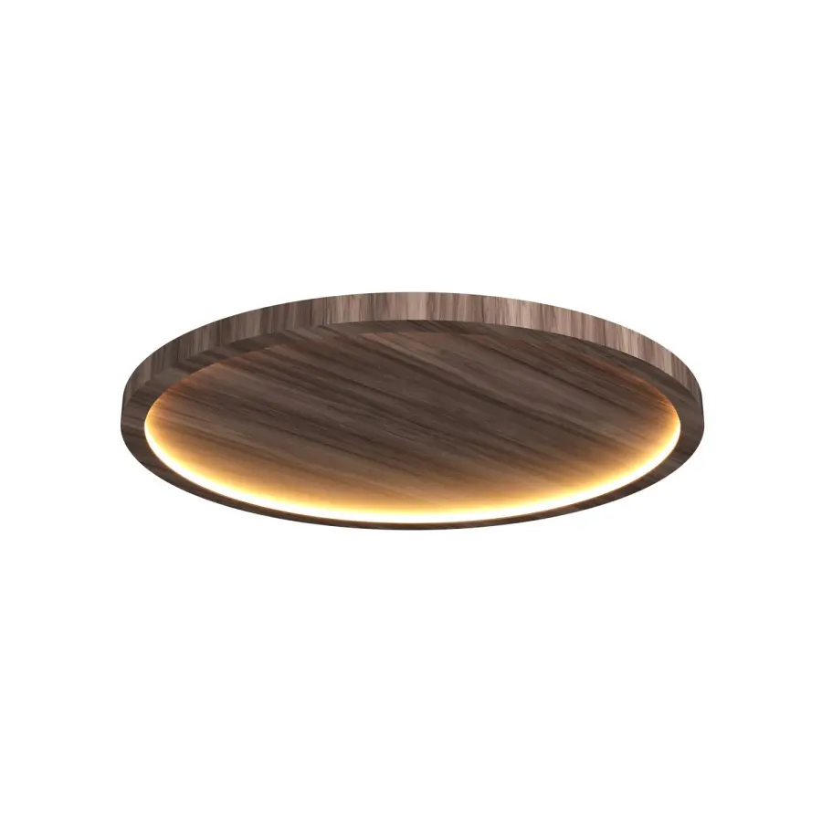 The Accord Lighting - Naia by Accord Lighting