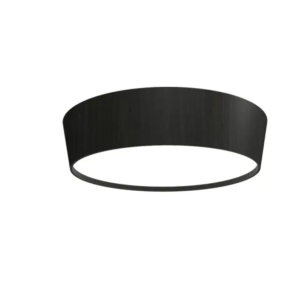 Sleek Low-Profile LED Ceiling Mount with Modern Black Finish