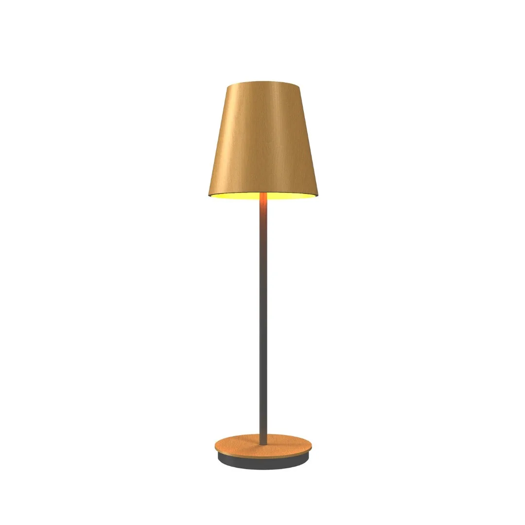 Conical One Light Table Lamp in Organic Gold
