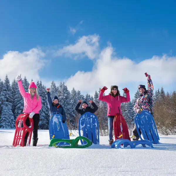 John Deere Snow Cruiser Sled - Image 3
