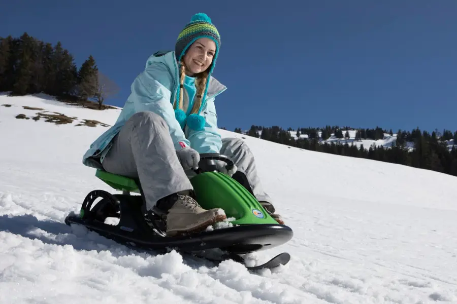 The Sleds by Kettler USA - Image 3