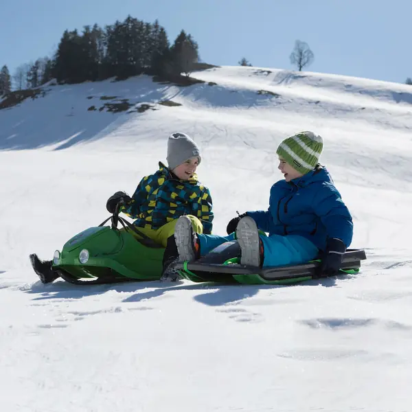Snow Flyer Racing Sled - Image 3