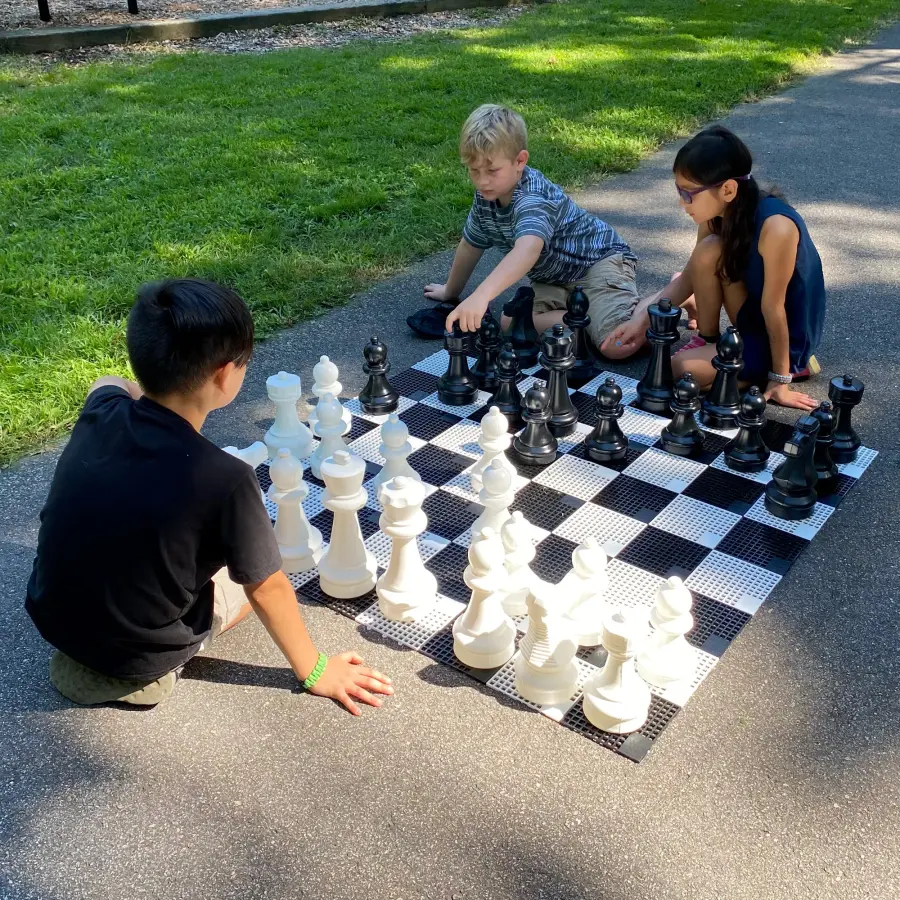 Mini-Giant Chess Pieces Set - Image 2
