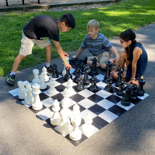 Mini-Giant Chess Pieces Set - Image 3