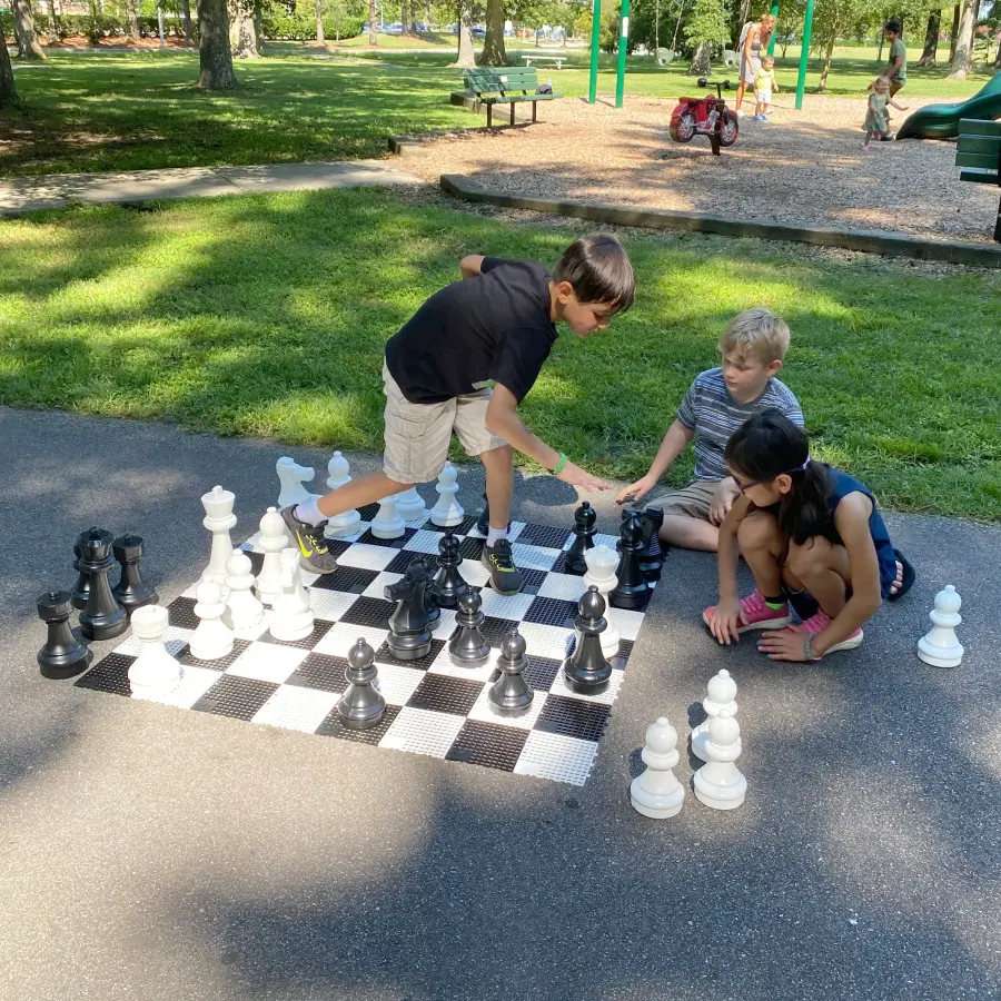 Mini-Giant Chess Pieces Set - Image 6