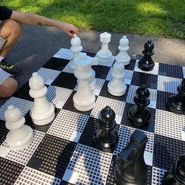 Mini-Giant Chess Pieces Set - Image 8