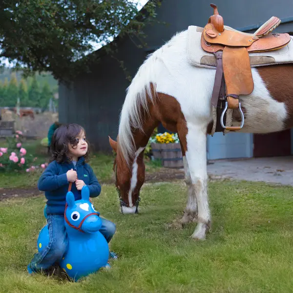 This soft brown fabric saddle and bridle accessory transforms Rody ride-on toys into realistic steeds, sparking hours of imaginative adventures for children ages 3-5. Easy velcro attachment ensures secure, playful fit. - alternate view