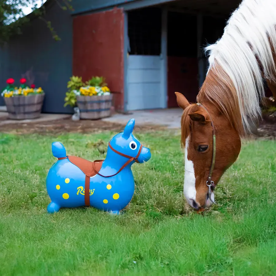Rody Saddle & Bridle Accessory - Image 3