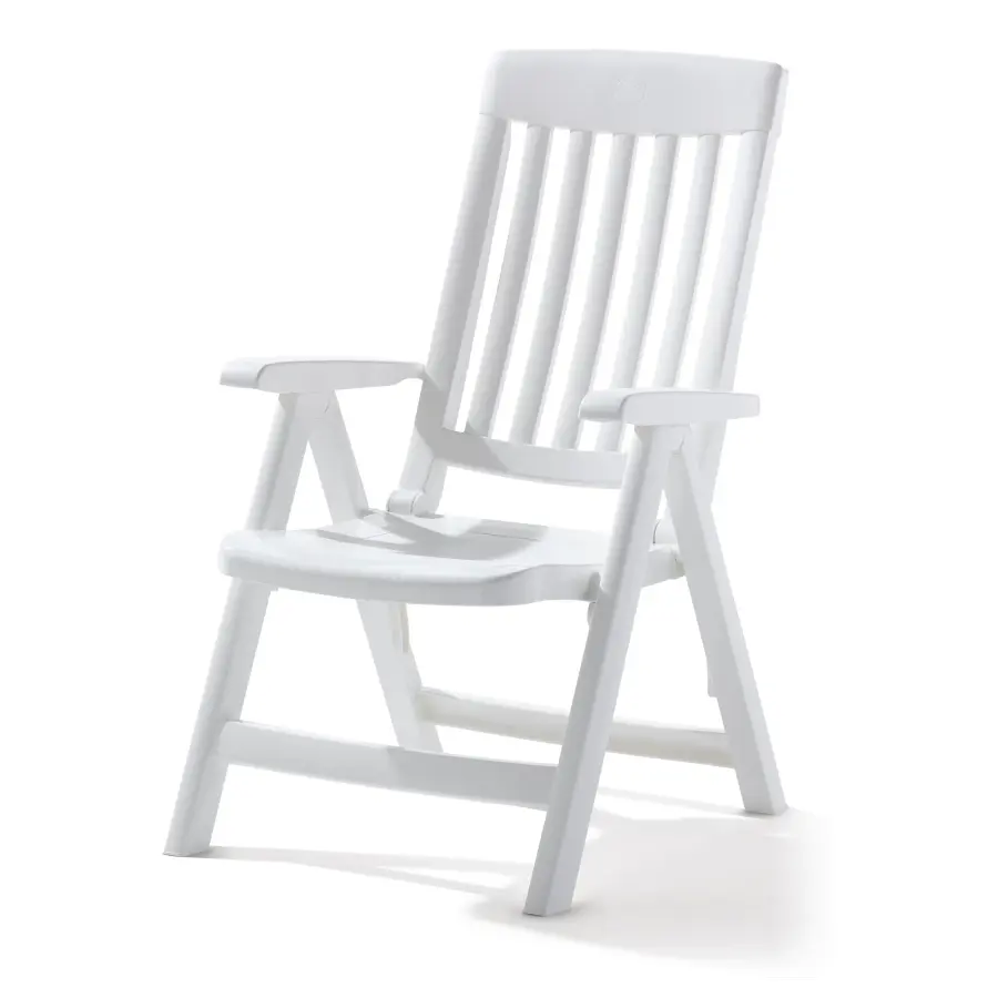 Sieger Multi-Position Resin Chair - Image 1