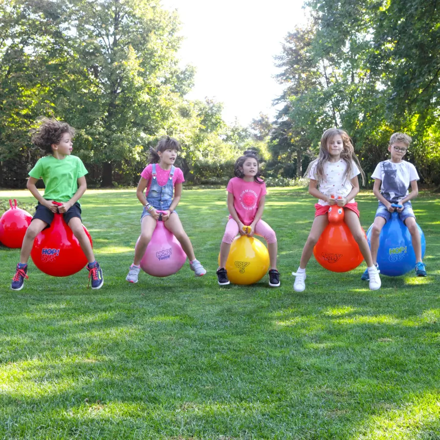 Hop Balls Bounce Toy - Image 5