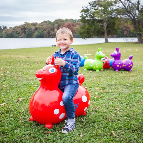 The Rody MAX is a supersized version of the beloved bounce horse, designed for children 5+ and up to 200 lbs. Made from durable, latex-free vinyl in Italy, it promotes balance, coordination, and motor skills while providing therapeutic benefits. - alternate view
