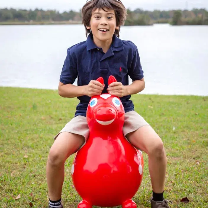 Rody MAX Inflatable Bounce Horse - Image 5