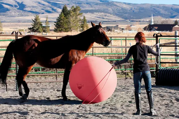 Gymnic Megaball 72" Exercise Ball - Image 7