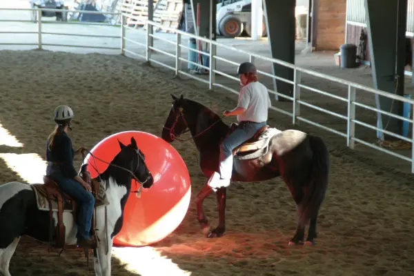 Gymnic Megaball 72" Exercise Ball - Image 8