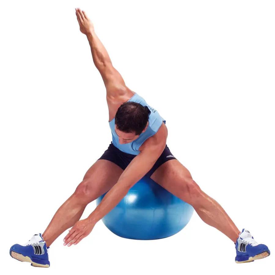 Gymnic Plus BRQ Physiotherapy Ball - Image 2